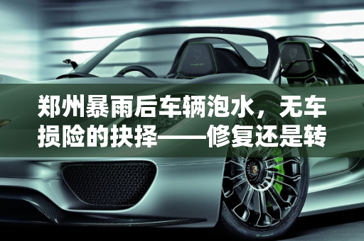 郑州暴雨后车辆泡水，无车损险的抉择——修复还是转手？,郑州暴雨我车泡水了没买车损险，是修修继续开还是卖给二手车商
