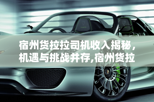宿州货拉拉司机收入揭秘，机遇与挑战并存,宿州货拉拉收入怎么样