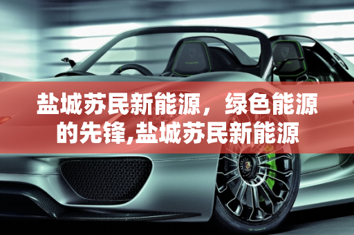 盐城苏民新能源，绿色能源的先锋,盐城苏民新能源
