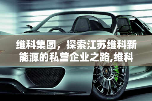 维科集团，探索江苏维科新能源的私营企业之路,维科集团是私企吗,江苏维科新能源怎么样