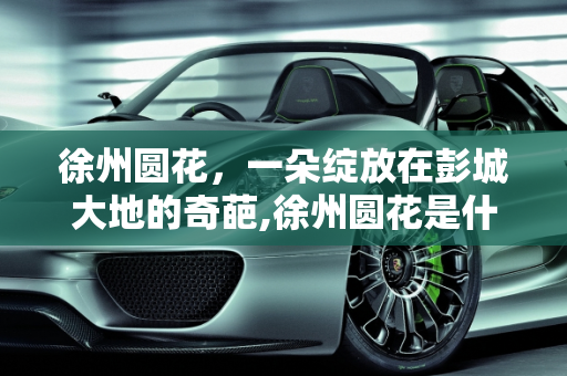 徐州圆花，一朵绽放在彭城大地的奇葩,徐州圆花是什么