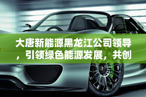 大唐新能源黑龙江公司领导，引领绿色能源发展，共创可持续未来,大唐新能源黑龙江公司领导
