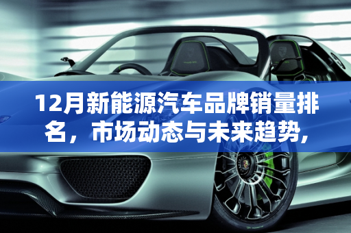 12月新能源汽车品牌销量排名，市场动态与未来趋势,12月新能源汽车品牌销量排名，新能源车辆
