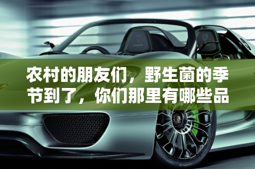 农村的朋友们，野生菌的季节到了，你们那里有哪些品种上市？,农村的朋友，你们那里的野生菌上市了吗？都有哪些品种