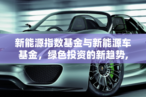 新能源指数基金与新能源车基金，绿色投资的新趋势,新能源指数基金是什么意思，新能源车基金