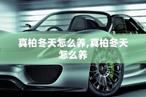 真柏冬天怎么养,真柏冬天怎么养