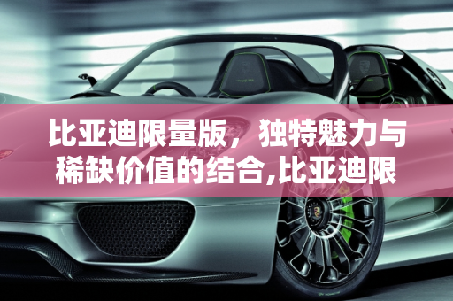 比亚迪限量版，独特魅力与稀缺价值的结合,比亚迪限量版限多少辆