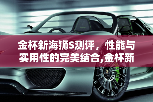 金杯新海狮S测评，性能与实用性的完美结合,金杯新海狮s测评