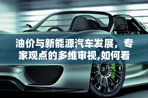油价与新能源汽车发展，专家观点的多维审视,如何看待专家说油价太低，会影响新能源汽车发展的言论