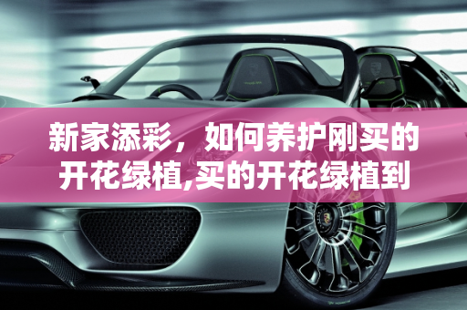 新家添彩，如何养护刚买的开花绿植,买的开花绿植到家之后怎样养护