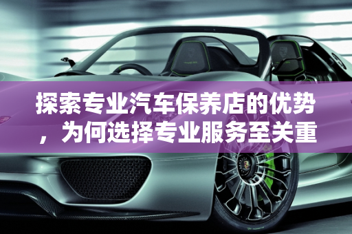 探索专业汽车保养店的优势，为何选择专业服务至关重要,找一家专业的汽车保养店有哪些好处？