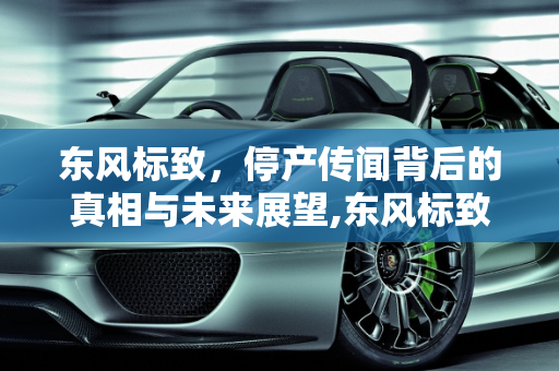 东风标致，停产传闻背后的真相与未来展望,东风标致停产了吗