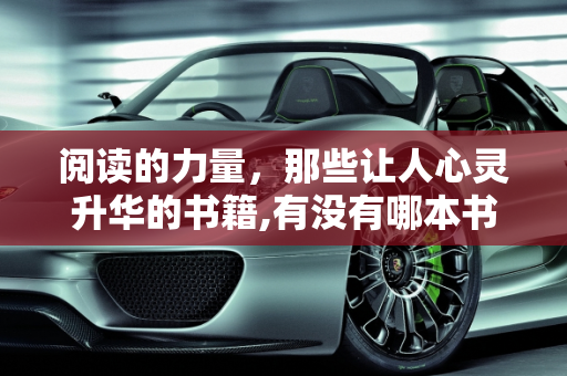 阅读的力量，那些让人心灵升华的书籍,有没有哪本书，阅读后感觉整个人都升华了？求分享