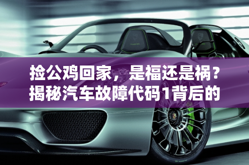 捡公鸡回家，是福还是祸？揭秘汽车故障代码1背后的生肖之谜,捡公鸡回家是福还是祸,汽车故障代码1是什么生肖