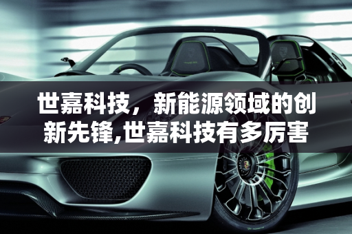 世嘉科技，新能源领域的创新先锋,世嘉科技有多厉害，世嘉新能源