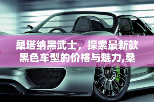 桑塔纳黑武士，探索最新款黑色车型的价格与魅力,桑塔纳黑武士多少钱，最新款黑色车型