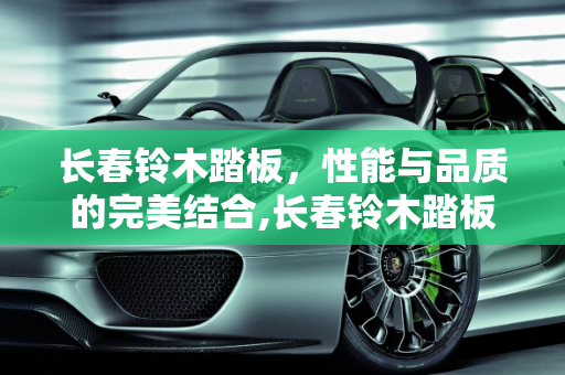 长春铃木踏板，性能与品质的完美结合,长春铃木踏板怎么样