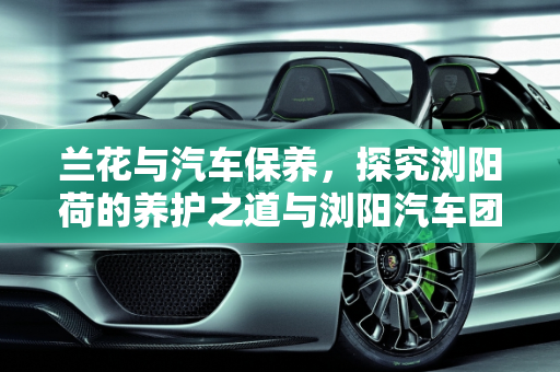 兰花与汽车保养，探究浏阳荷的养护之道与浏阳汽车团购的实惠之选,兰花浏阳荷好养吗，汽车保养团购浏阳