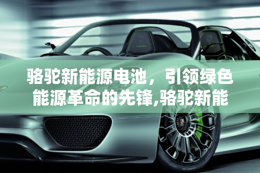骆驼新能源电池，引领绿色能源革命的先锋,骆驼新能源电池怎么样,骆驼新能源二期