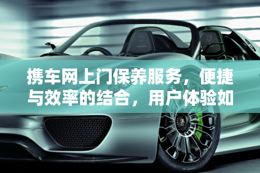 携车网上门保养服务，便捷与效率的结合，用户体验如何？,携车网的上门保养有用的吗?感觉好用吗