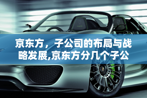 京东方，子公司的布局与战略发展,京东方分几个子公司