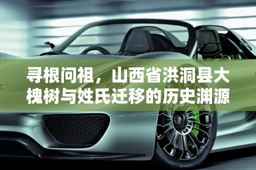 寻根问祖，山西省洪洞县大槐树与姓氏迁移的历史渊源,山西省洪洞县的大槐树是一个有名的寻根之地，有多少姓氏是从这里迁移出去的