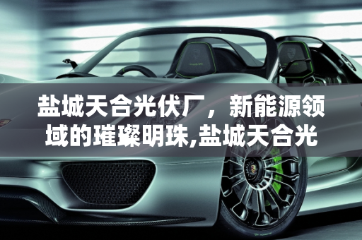 盐城天合光伏厂，新能源领域的璀璨明珠,盐城天合光伏厂怎么样好不好做,新能源天合