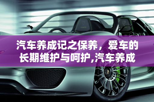 汽车养成记之保养，爱车的长期维护与呵护,汽车养成记之保养,汽车养成记之保养