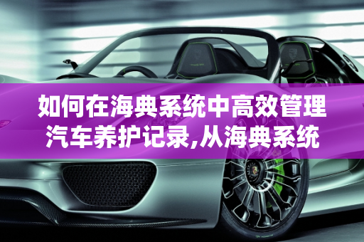 如何在海典系统中高效管理汽车养护记录,从海典系统里如何做养护记录，汽车保养记录软件