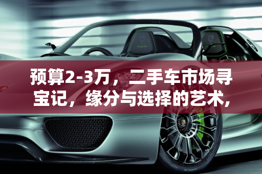 预算2-3万，二手车市场寻宝记，缘分与选择的艺术,2-3w能买什么车，买二手车讲缘分吗吗