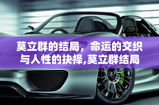 莫立群的结局，命运的交织与人性的抉择,莫立群结局